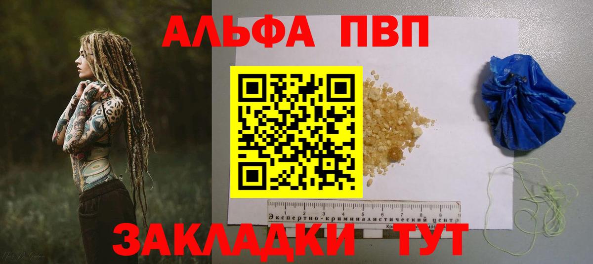 A PVP СК КРИС Рубцовск