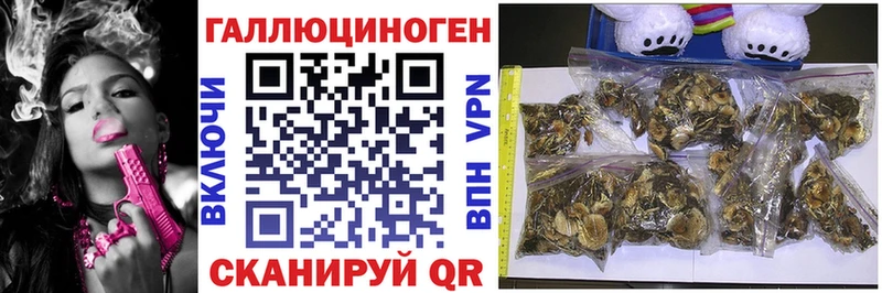 Псилоцибиновые грибы Cubensis  OMG рабочий сайт  Рубцовск  купить закладку 