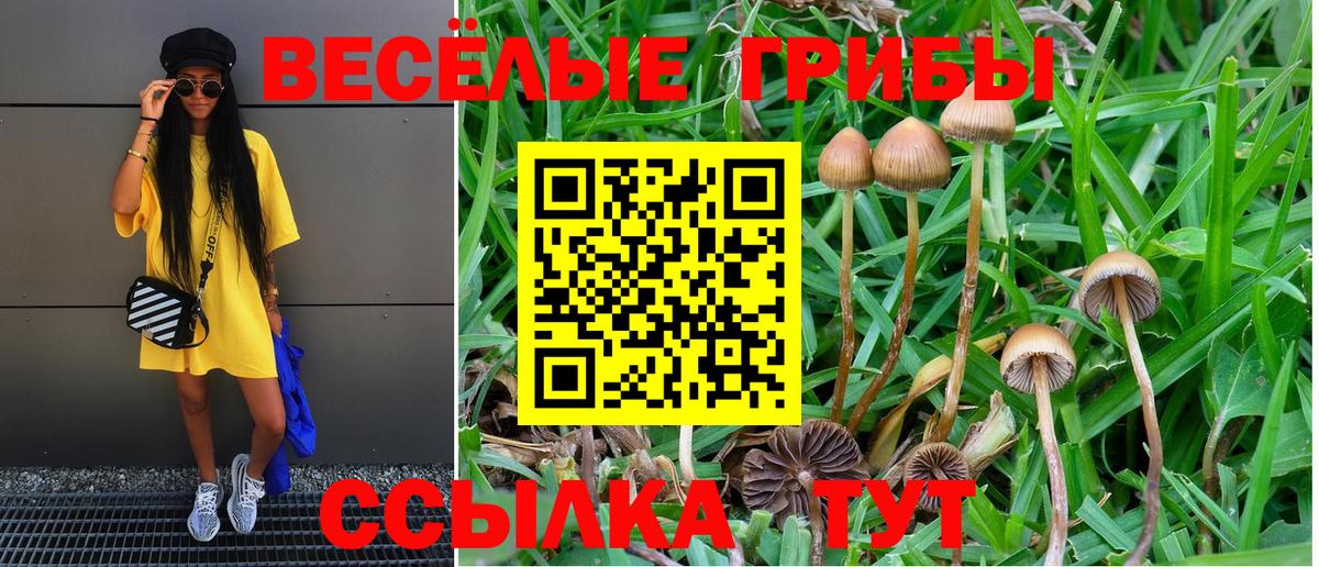 Рубцовск  Галлюциногенные грибы мухоморы  Вход с VPN 